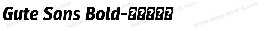 Gute Sans Bold字体转换